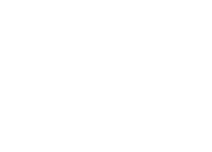 d4y logo fainal 0w